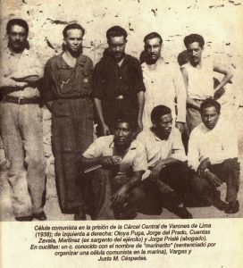 celula